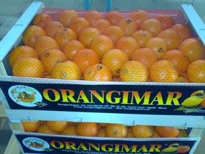 STE ORANGINA EXPORT