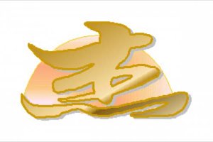 KUNMING JIEXI ECONOMIC AND TRADING 