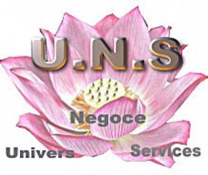 UNIVERS  NEGOCE &AMP; SERVICES