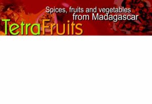 TETRA FRUITS