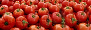 Tomates Tomates
