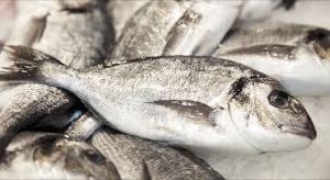 Poisson et fruits de mer