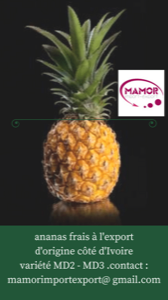 Ananas bio a l'exportation. Ananas bio a l'exportation.