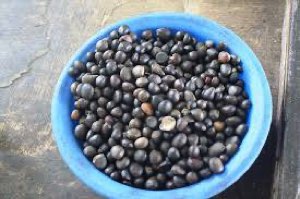 Amandes de palmistes