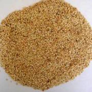 sesame sesame