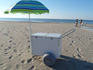 Chariot ambulant