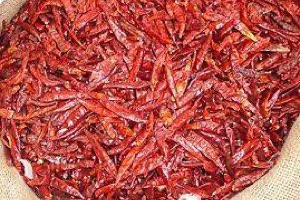 Piment bec d