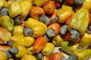 Anacarde 