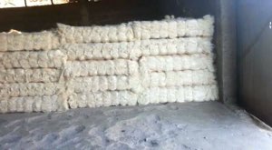 Fibre sisal naturel et fillass Fibre sisal naturel et fillass