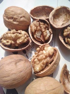 Noix walnut 