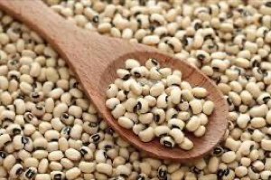 Black eyed peas (lojy)