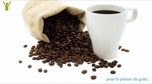 Cafe serise Cafe serise
