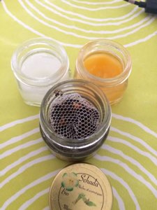 Baume anti moustique/ repusif