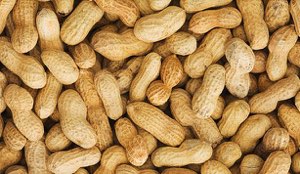 Arachide petits et gros grains Arachide petits et gros grains