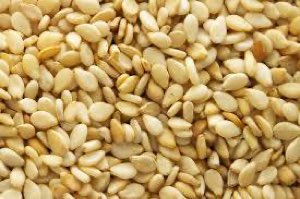 Sesame Blanc