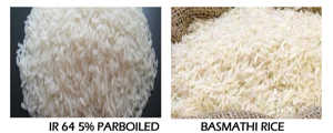 Riz indien