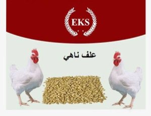 Alimentation de volaille