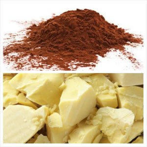 Poudre et beurre de cacao