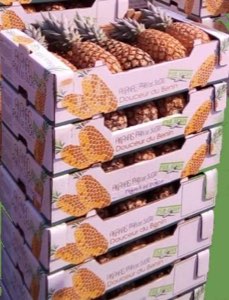 Ananas