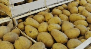 Pommes de terre Pommes de terre
