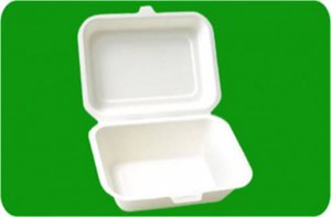 Emballage en Bagasse