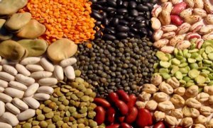 Légumes secs 
