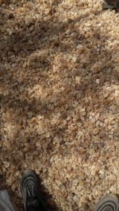GOMME ARABIQUE