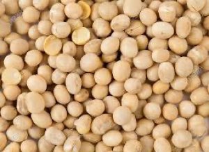 Soja blanc Soja blanc