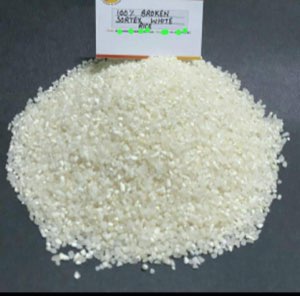 RIZ