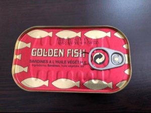 golden fish