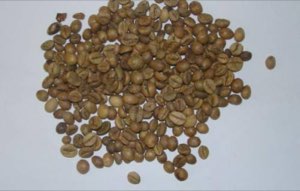 Café Robusta grains