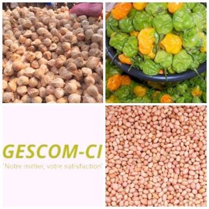 Noix de coco, arachides grains