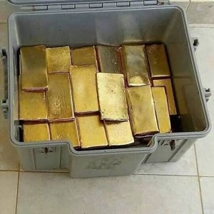 GOLD OR