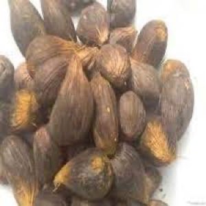 NOIX DE PALMISTE