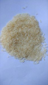 Riz indien Riz indien