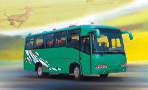 Bus touristique
