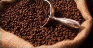 café en graine
