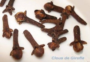 Clou de girofle Clou de girofle