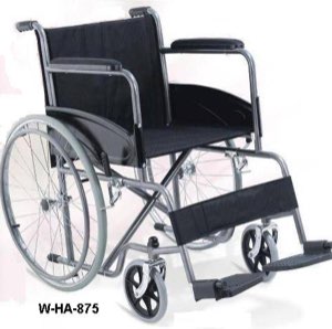 W-ha-875 W-ha-875