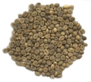 Café Vert Robusta du Viêtnam
