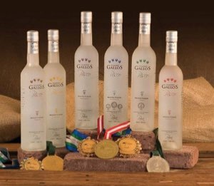 Pisco