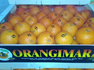 Oranges , agrumes