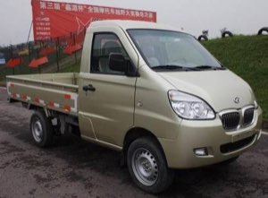 Shineray Mini Truck