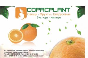LEGUMES FRAIS-AGRUMES -POISSON