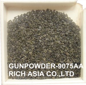 The vert de chine-gunpowder The vert de chine-gunpowder