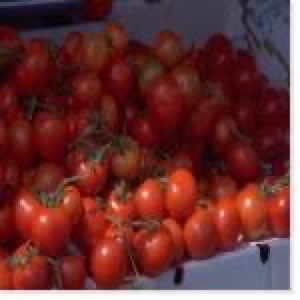 Tomates pelées Tomates pelées