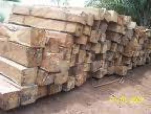BOIS KOSSO