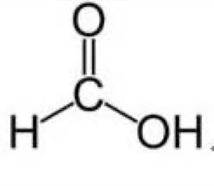 Acide méthanoïque Acide méthanoïque