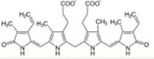 Bilirubine Bilirubine