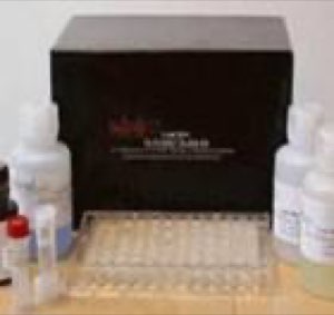 Elisa kit Élastine humain Elisa kit Élastine humain